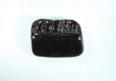Rochenzahn Zahnbreite 5 mm