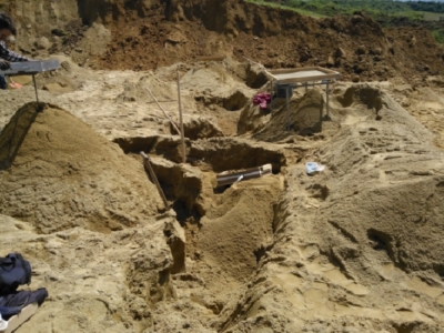 Und immer wieder dieselbe Frage: Was gibt sieben mal sieben? Immer noch feinen Sand :-)