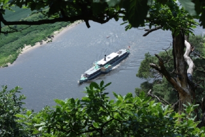 Schaufelraddampfer auf der Elbe.