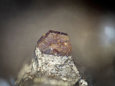 Greenockit-Grube Clara, BB=0,87mm , Fund April 2025: M.Mebus, Foto: M.Wallenborn