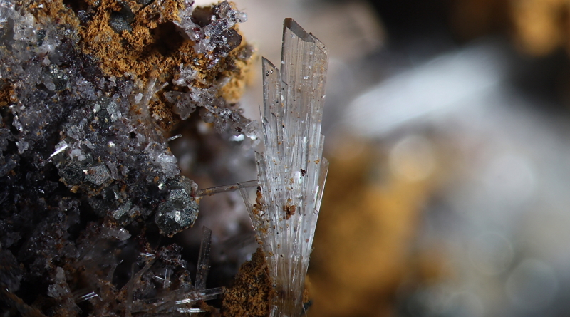 Bild des Monats April