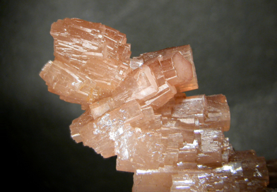 Bild des Monats Bild des Monats