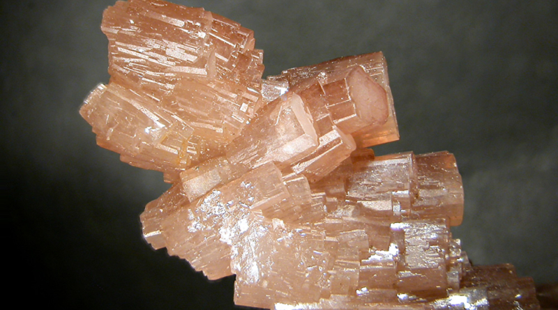 Bild des Monats Bild des Monats